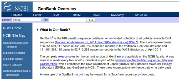GenBank